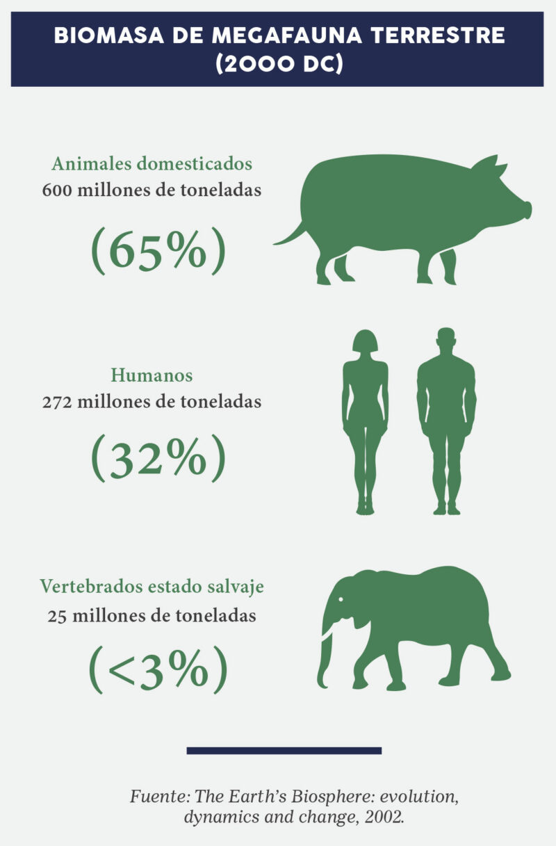 El impacto del ser humano en la Tierra: Planeta y Salud | Colegio ...